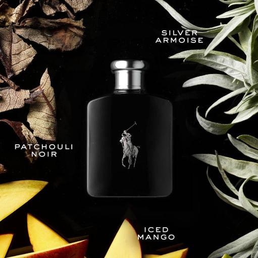 Polo Black Eau de Toilette